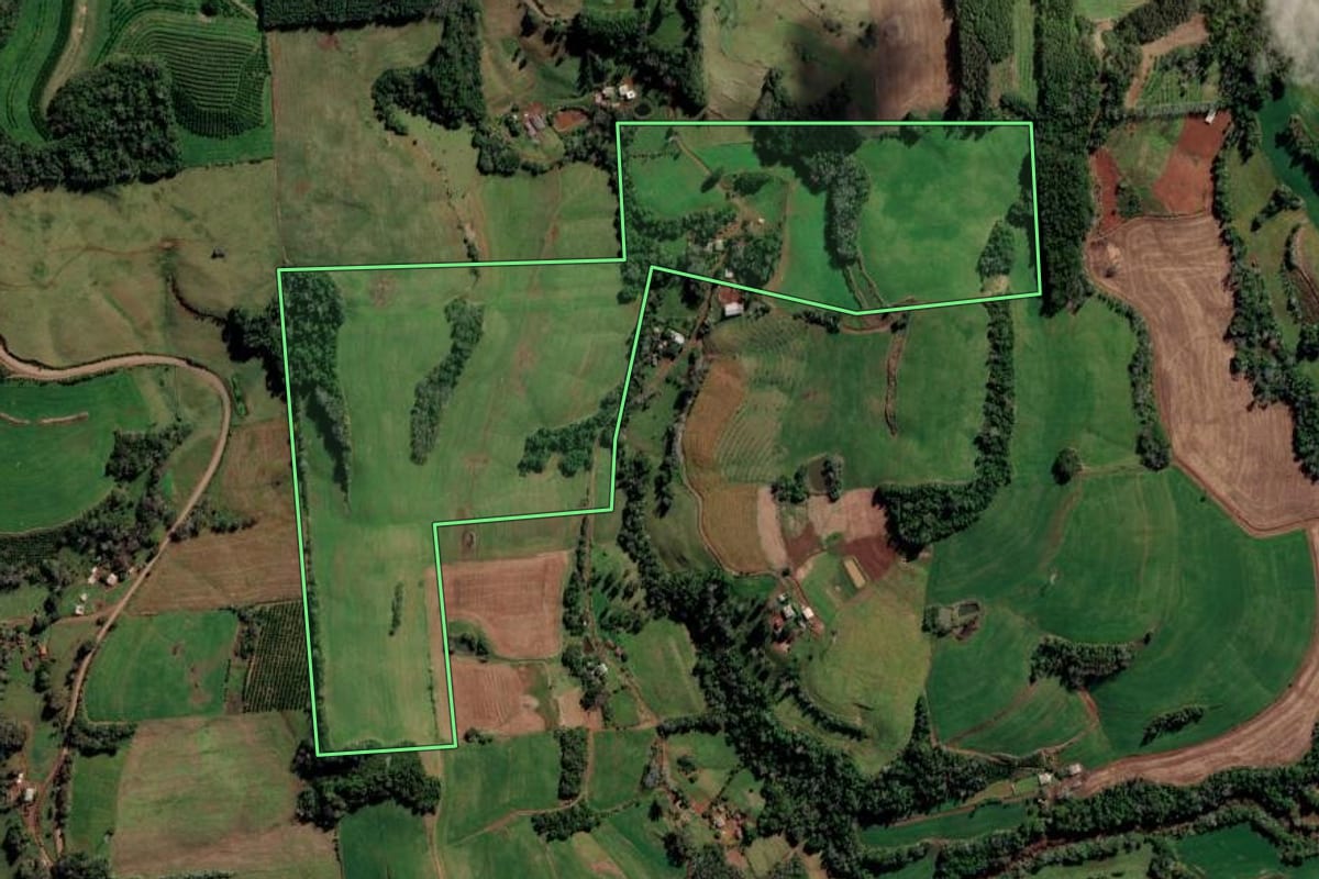 Imagem de satélite do imóvel rural em Liberato Salzano (RS), com o contorno declarado no CAR desenhado por cima.