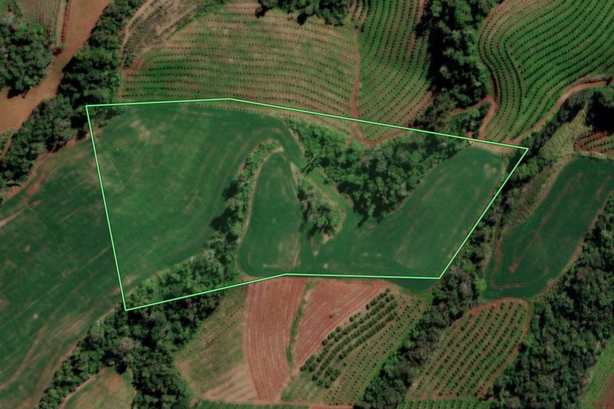 Imagem de satélite do imóvel rural em Liberato Salzano (RS), com o contorno declarado no CAR desenhado por cima.