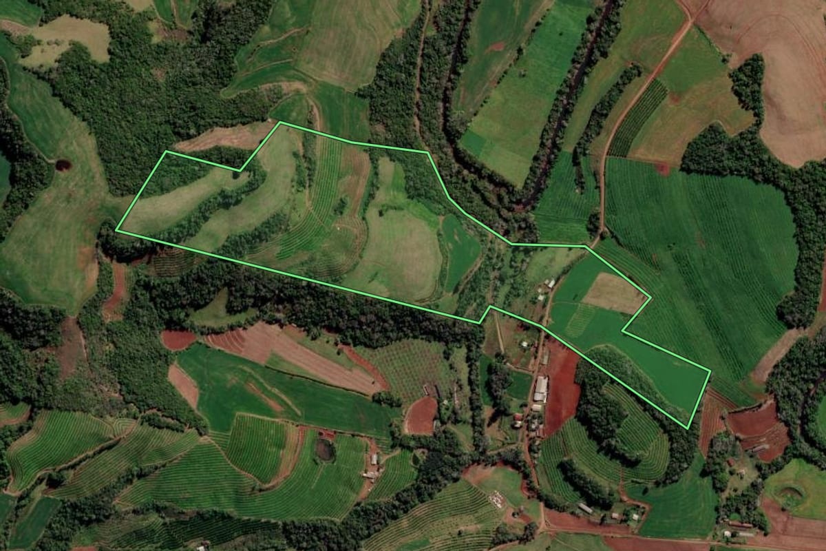 Imagem de satélite do imóvel rural em Liberato Salzano (RS), com o contorno declarado no CAR desenhado por cima.
