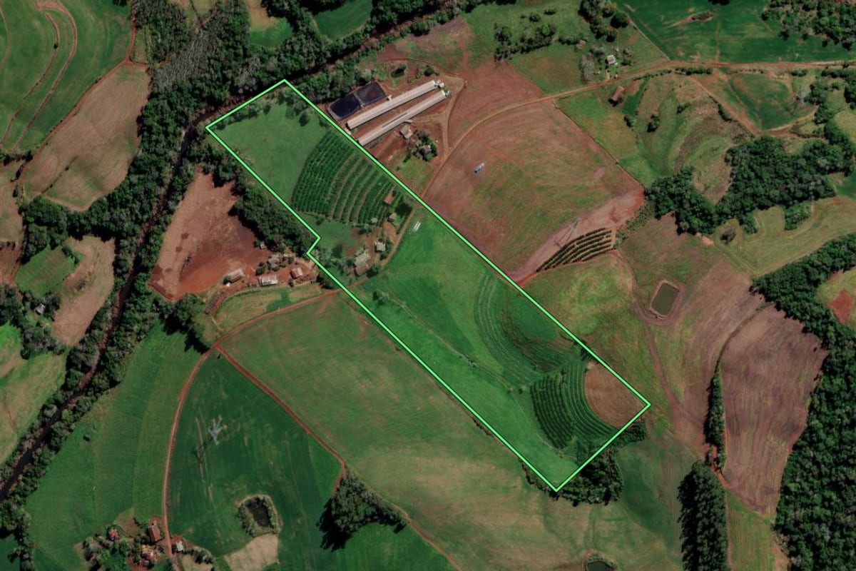 Imagem de satélite do imóvel rural em Liberato Salzano (RS), com o contorno declarado no CAR desenhado por cima.