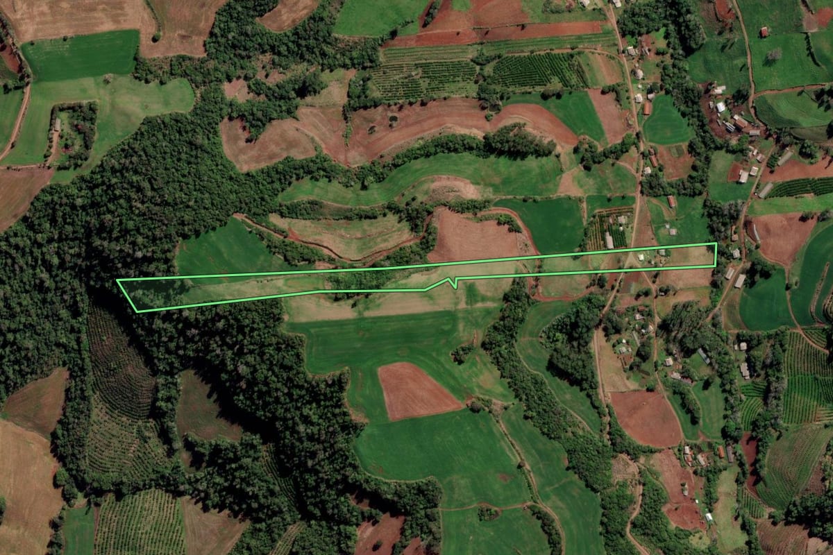 Imagem de satélite do imóvel rural em Liberato Salzano (RS), com o contorno declarado no CAR desenhado por cima.