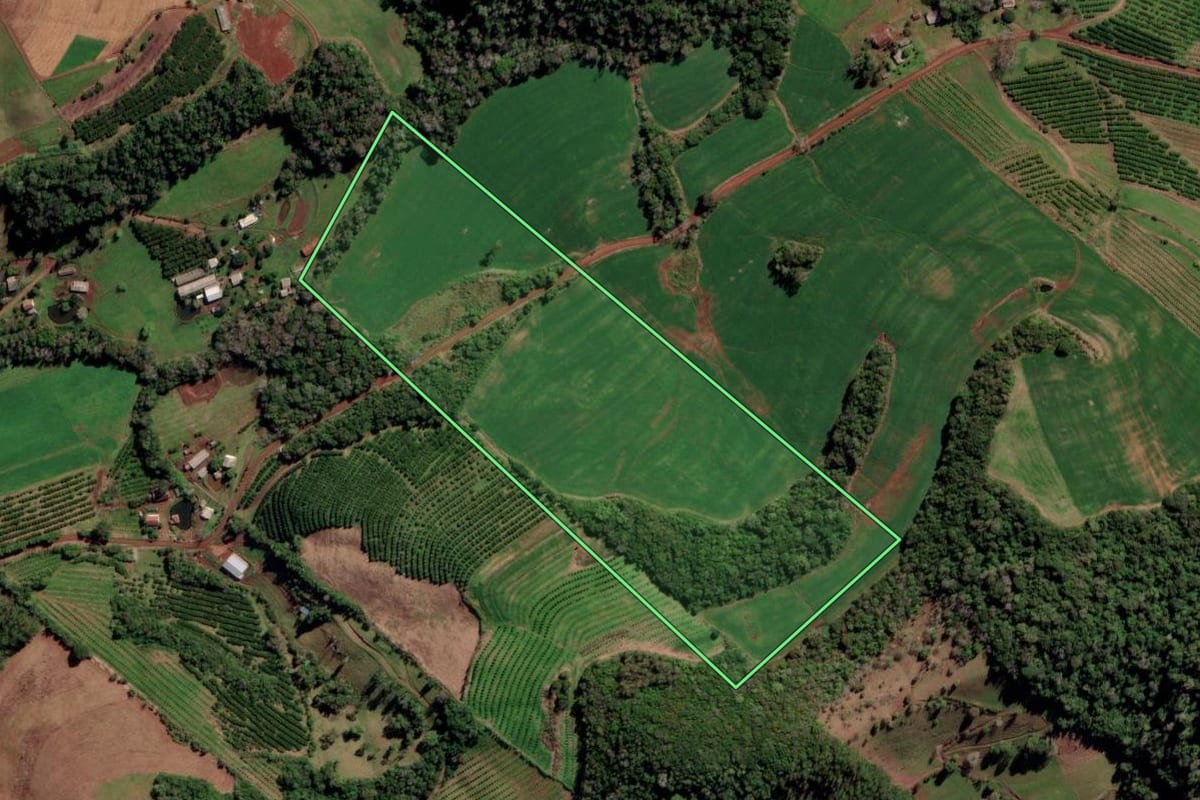 Imagem de satélite do imóvel rural em Liberato Salzano (RS), com o contorno declarado no CAR desenhado por cima.