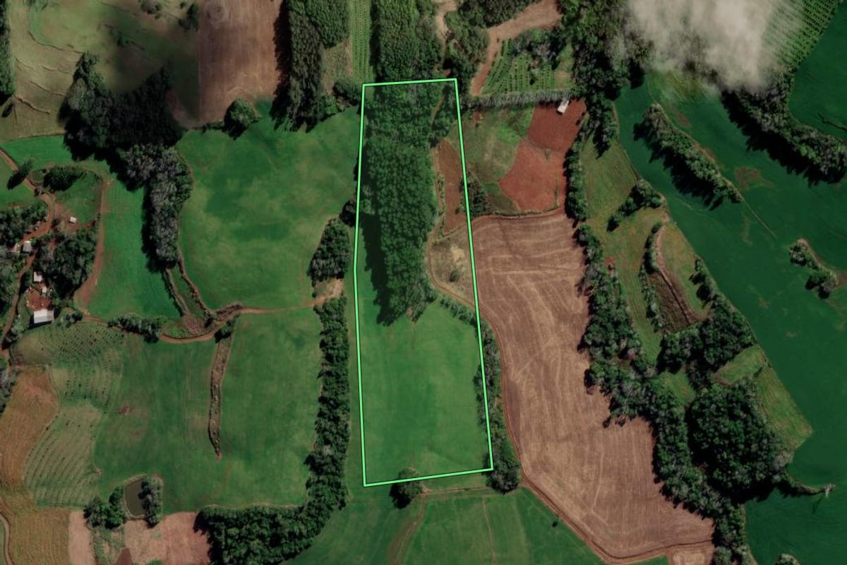 Imagem de satélite do imóvel rural em Liberato Salzano (RS), com o contorno declarado no CAR desenhado por cima.