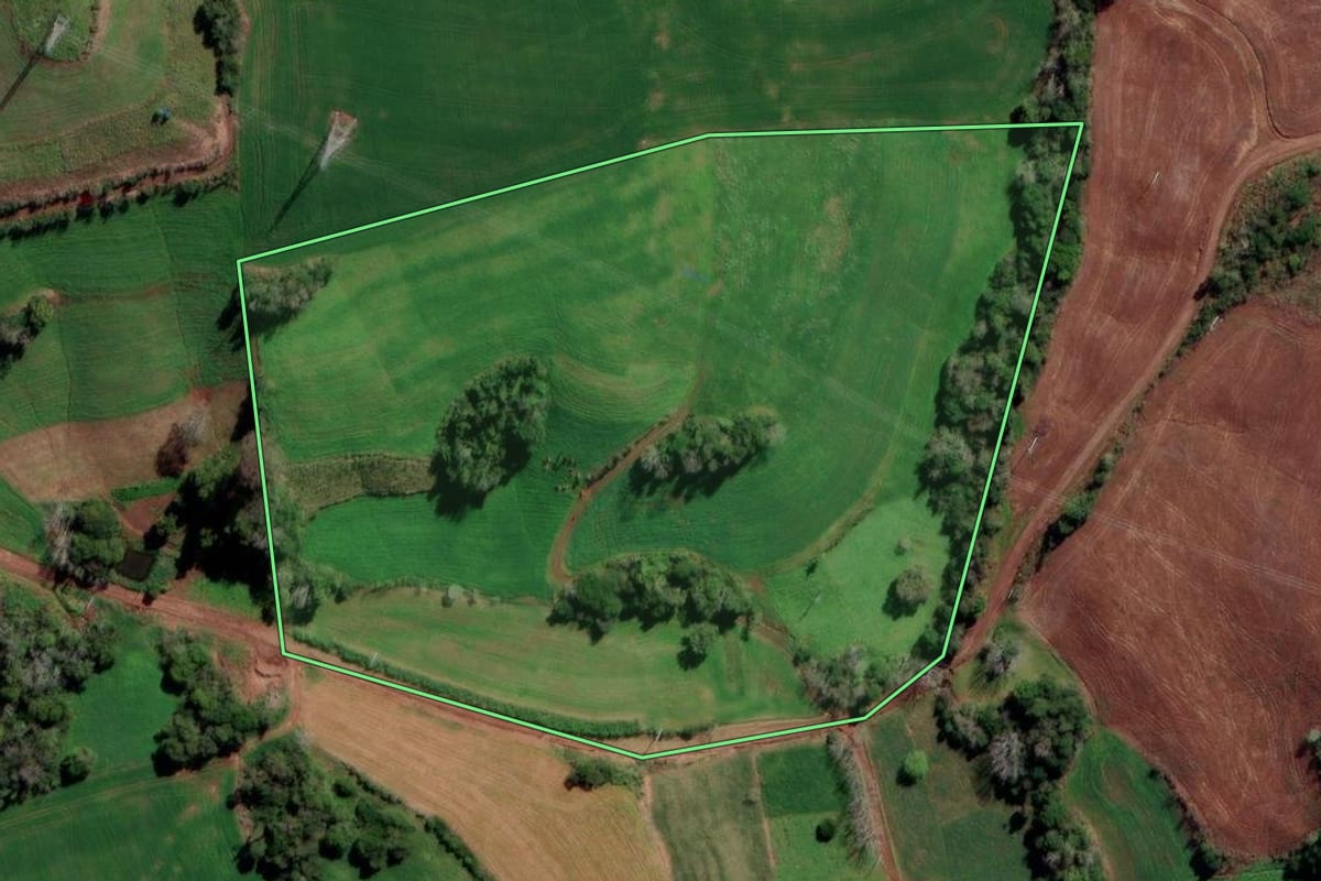 Imagem de satélite do imóvel rural em Liberato Salzano (RS), com o contorno declarado no CAR desenhado por cima.