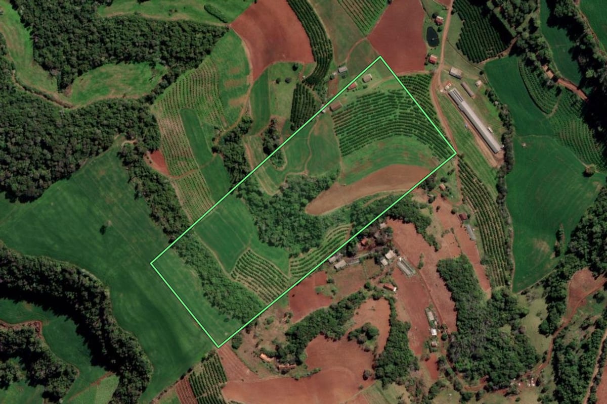 Imagem de satélite do imóvel rural em Liberato Salzano (RS), com o contorno declarado no CAR desenhado por cima.