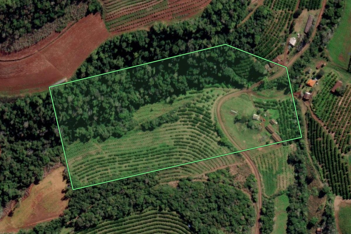 Imagem de satélite do imóvel rural em Liberato Salzano (RS), com o contorno declarado no CAR desenhado por cima.