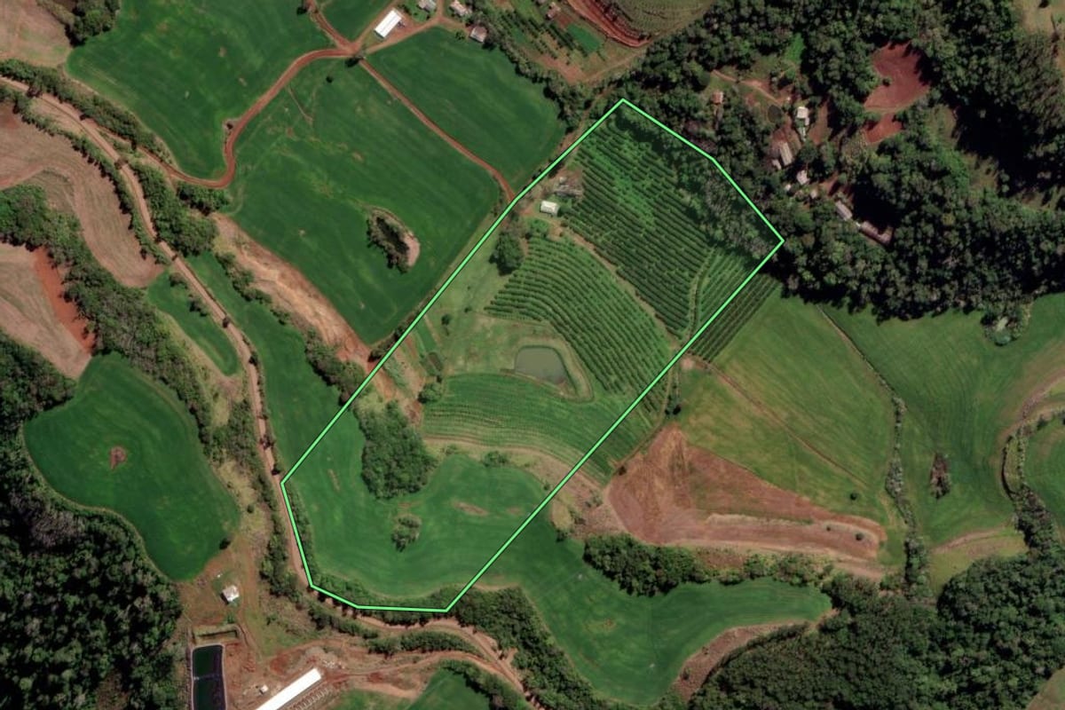 Imagem de satélite do imóvel rural em Liberato Salzano (RS), com o contorno declarado no CAR desenhado por cima.