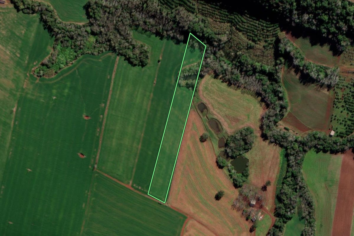Imagem de satélite do imóvel rural em Liberato Salzano (RS), com o contorno declarado no CAR desenhado por cima.