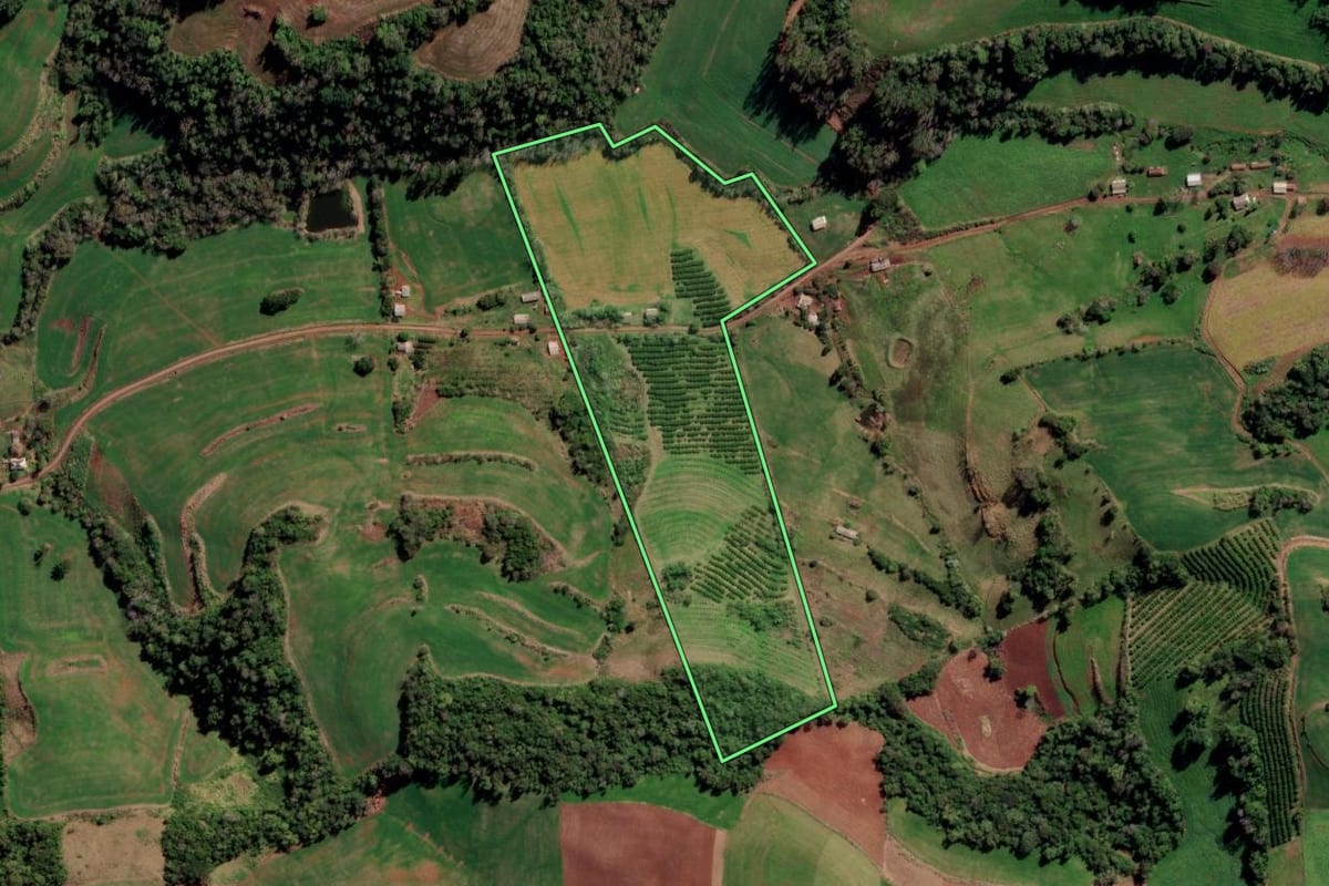 Imagem de satélite do imóvel rural em Liberato Salzano (RS), com o contorno declarado no CAR desenhado por cima.