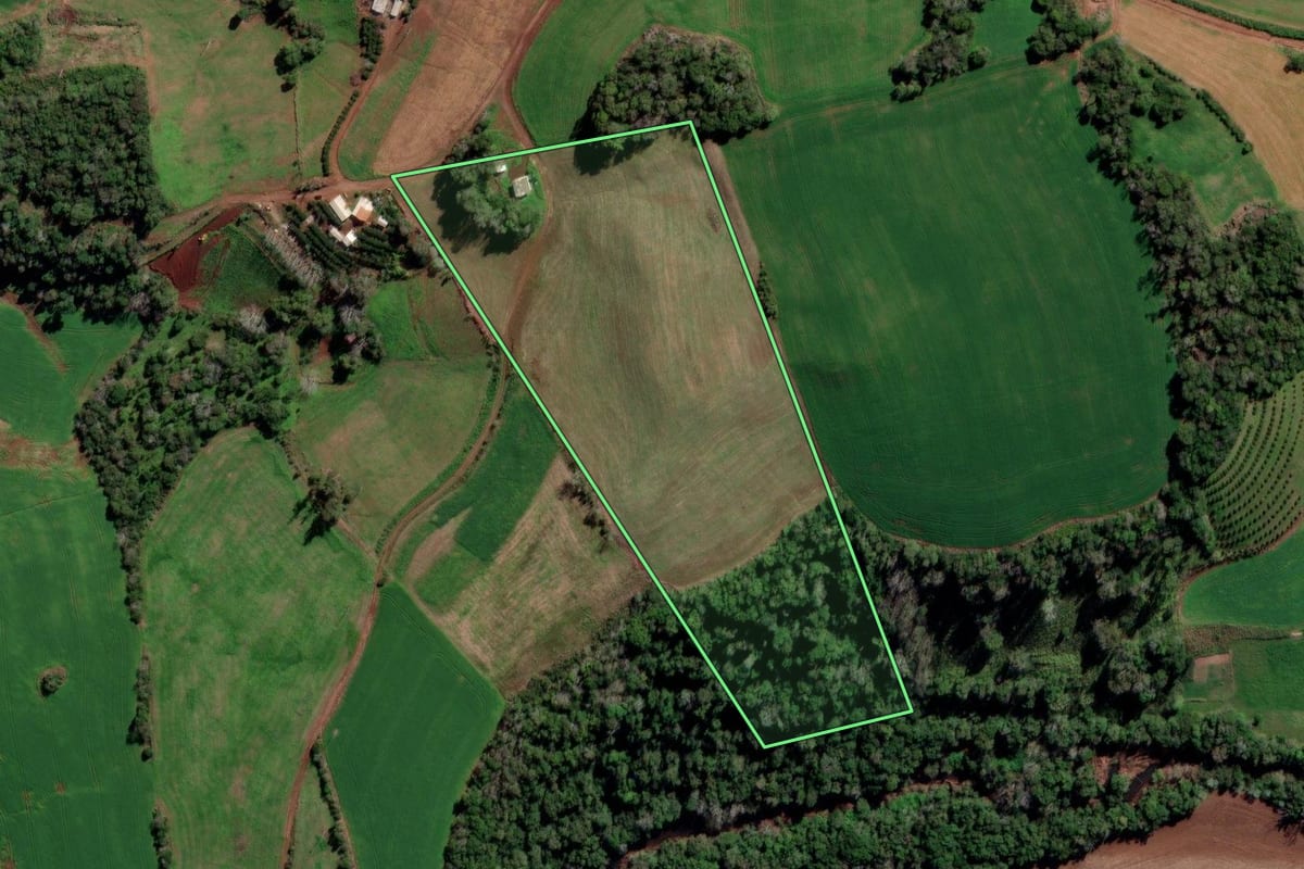 Imagem de satélite do imóvel rural em Liberato Salzano (RS), com o contorno declarado no CAR desenhado por cima.