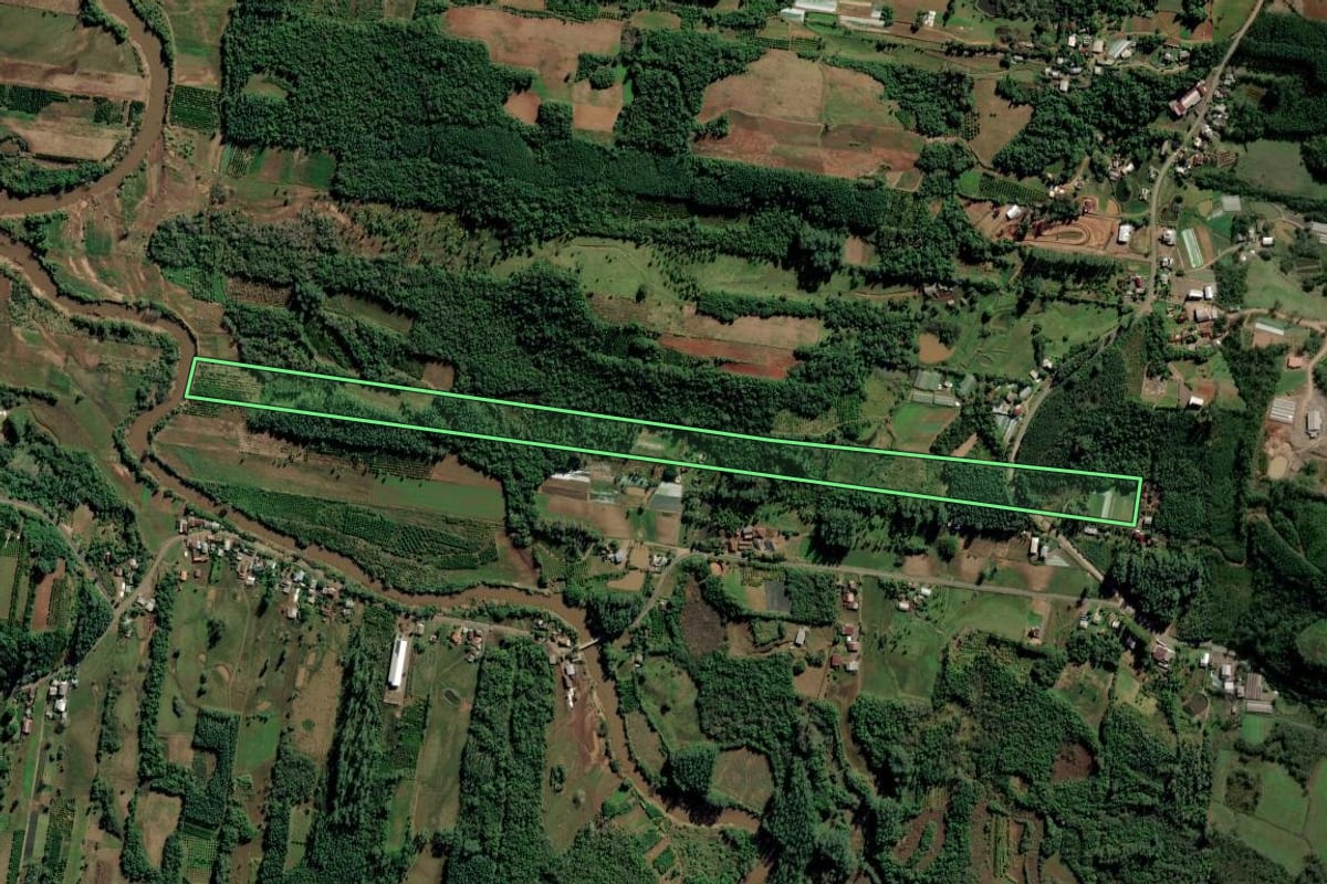 Imagem de satélite do imóvel rural em Lindolfo Collor (RS), com o contorno declarado no CAR desenhado por cima.