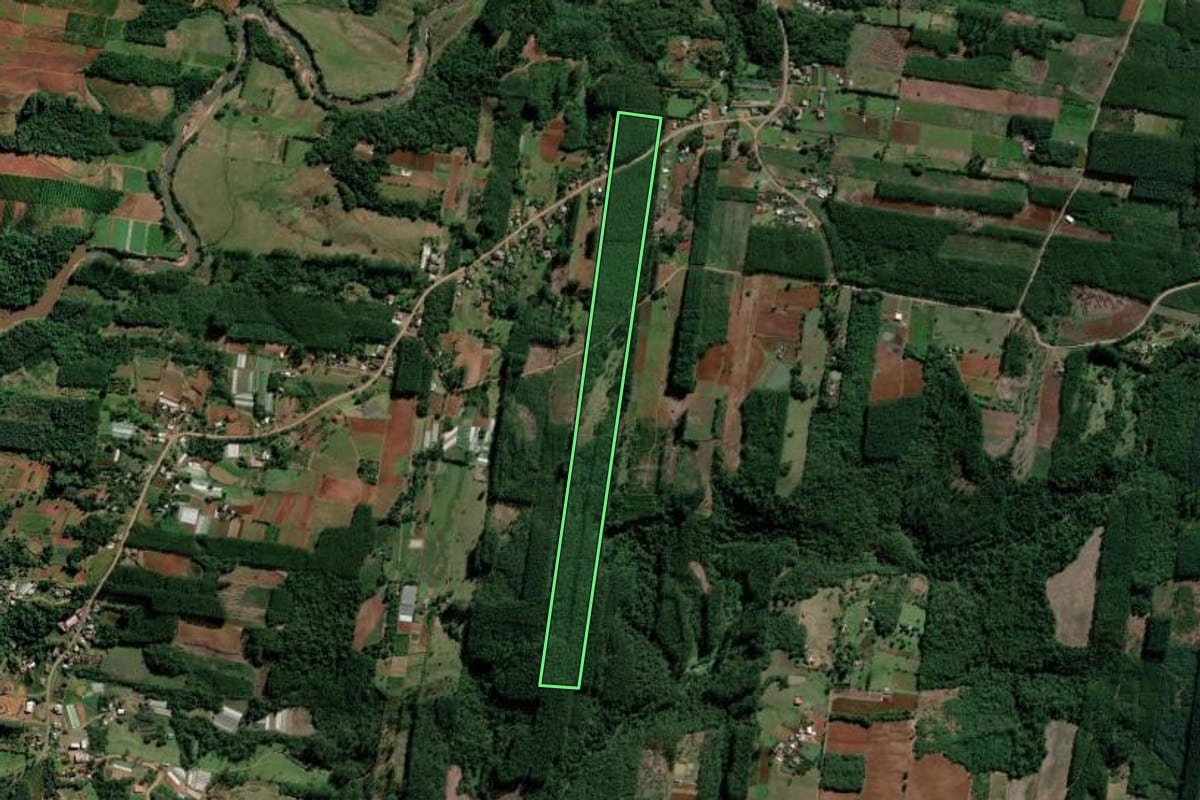 Imagem de satélite do imóvel rural em Lindolfo Collor (RS), com o contorno declarado no CAR desenhado por cima.