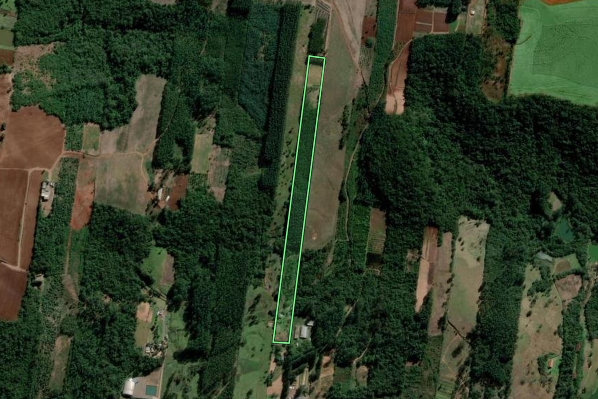 Imagem de satélite do imóvel rural em Lindolfo Collor (RS), com o contorno declarado no CAR desenhado por cima.
