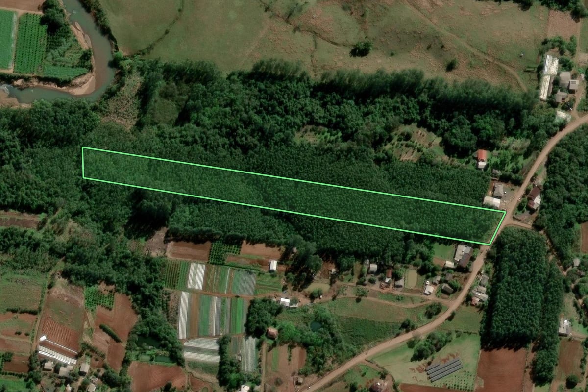 Imagem de satélite do imóvel rural em Lindolfo Collor (RS), com o contorno declarado no CAR desenhado por cima.
