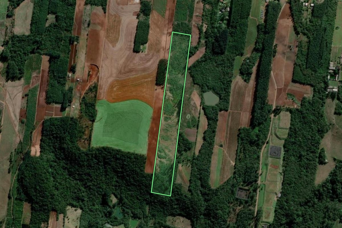 Imagem de satélite do imóvel rural em Lindolfo Collor (RS), com o contorno declarado no CAR desenhado por cima.