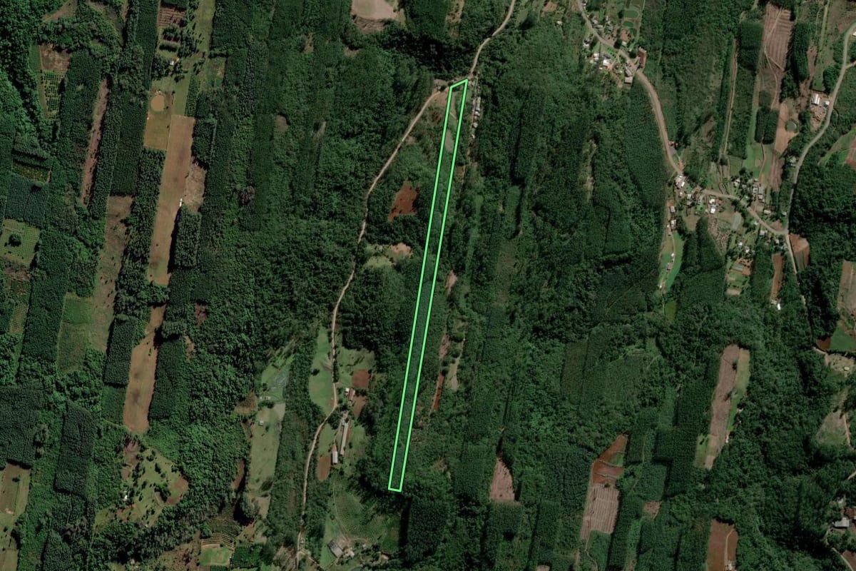 Imagem de satélite do imóvel rural em Lindolfo Collor (RS), com o contorno declarado no CAR desenhado por cima.