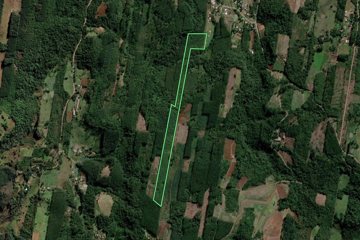 Imagem de satélite do imóvel rural em Lindolfo Collor (RS), com o contorno declarado no CAR desenhado por cima.