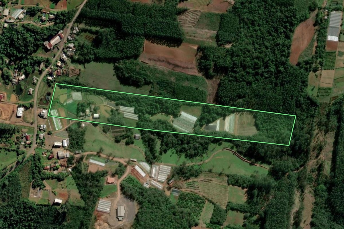 Imagem de satélite do imóvel rural em Lindolfo Collor (RS), com o contorno declarado no CAR desenhado por cima.