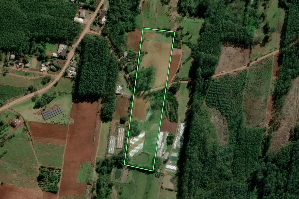 Imagem de satélite do imóvel rural em Lindolfo Collor (RS), com o contorno declarado no CAR desenhado por cima.