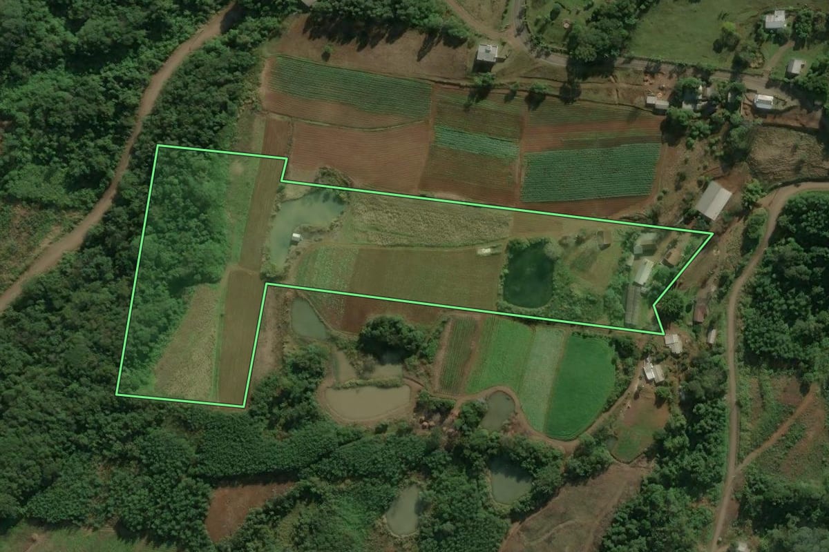 Imagem de satélite do imóvel rural em Linha Nova (RS), com o contorno declarado no CAR desenhado por cima.