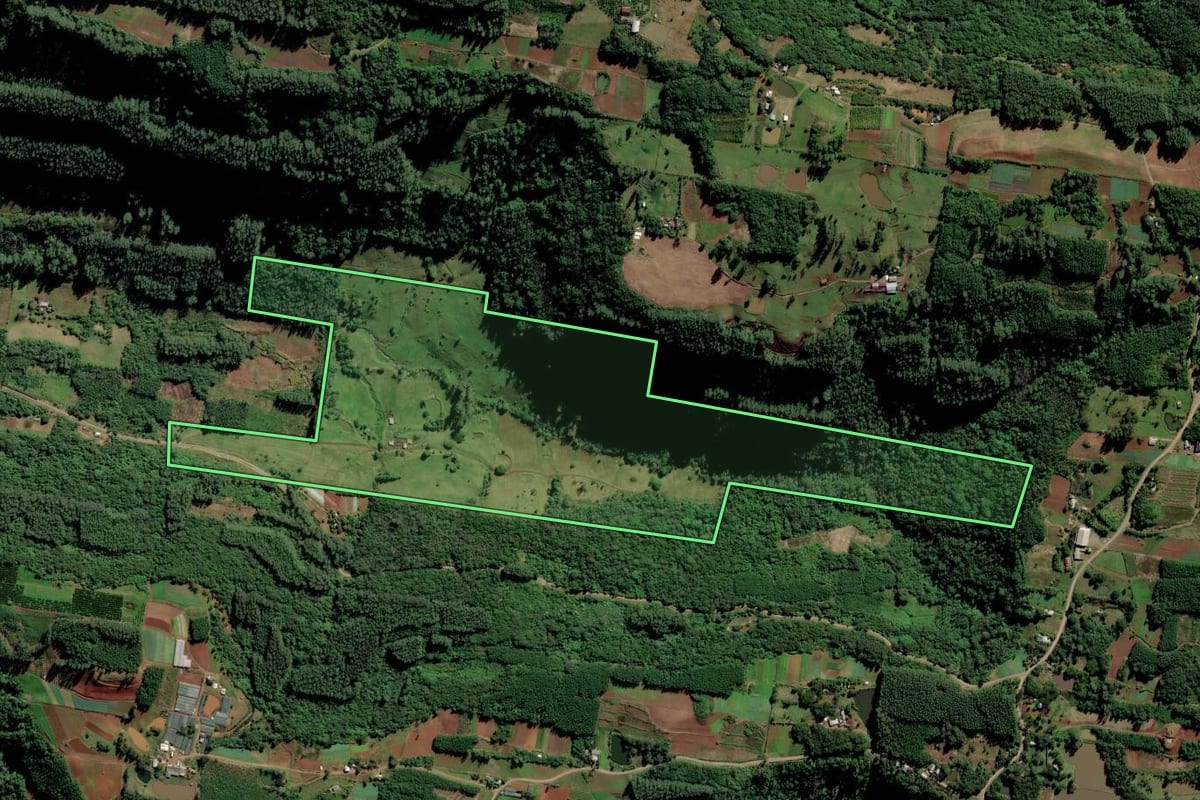 Imagem de satélite do imóvel rural em Linha Nova (RS), com o contorno declarado no CAR desenhado por cima.