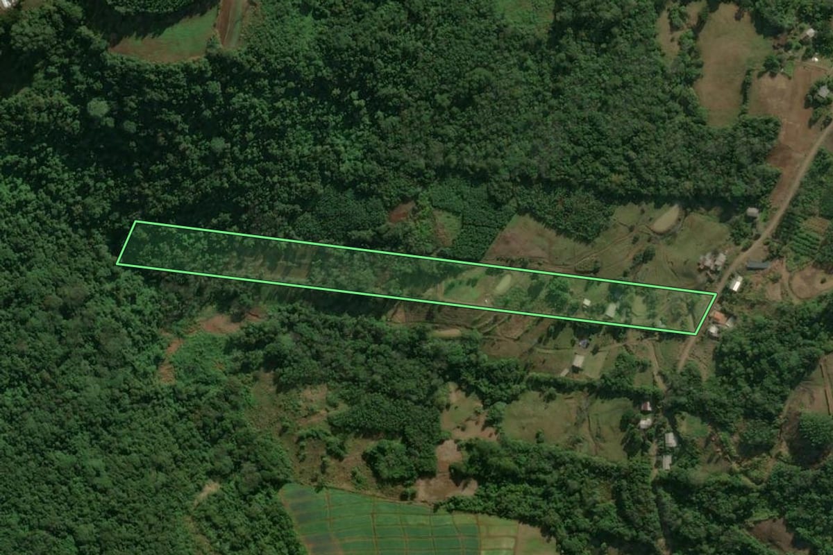 Imagem de satélite do imóvel rural em Linha Nova (RS), com o contorno declarado no CAR desenhado por cima.