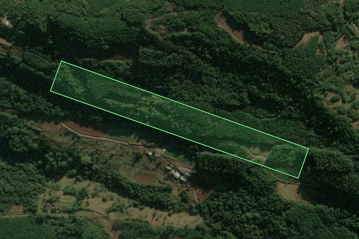 Imagem de satélite do imóvel rural em Linha Nova (RS), com o contorno declarado no CAR desenhado por cima.