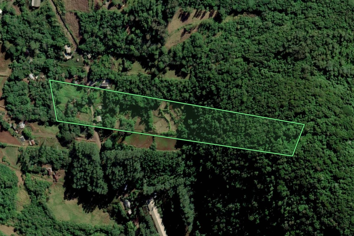 Imagem de satélite do imóvel rural em Linha Nova (RS), com o contorno declarado no CAR desenhado por cima.