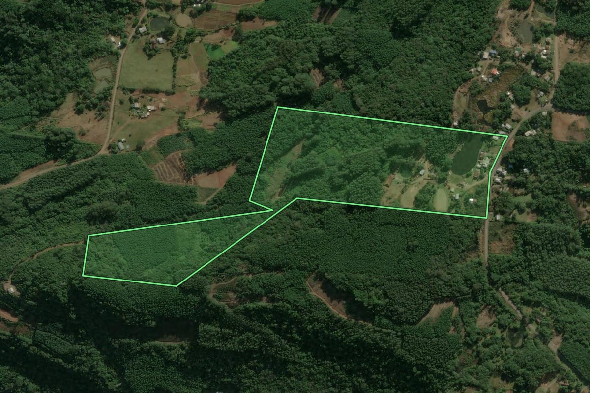 Imagem de satélite do imóvel rural em Linha Nova (RS), com o contorno declarado no CAR desenhado por cima.