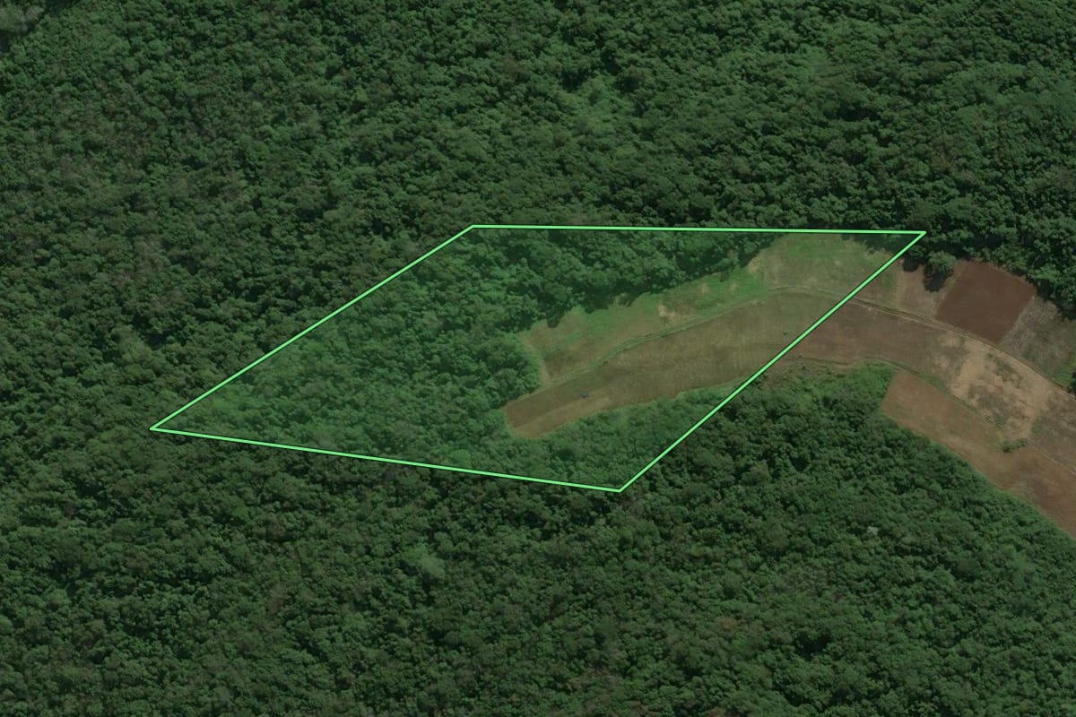 Imagem de satélite do imóvel rural em Linha Nova (RS), com o contorno declarado no CAR desenhado por cima.