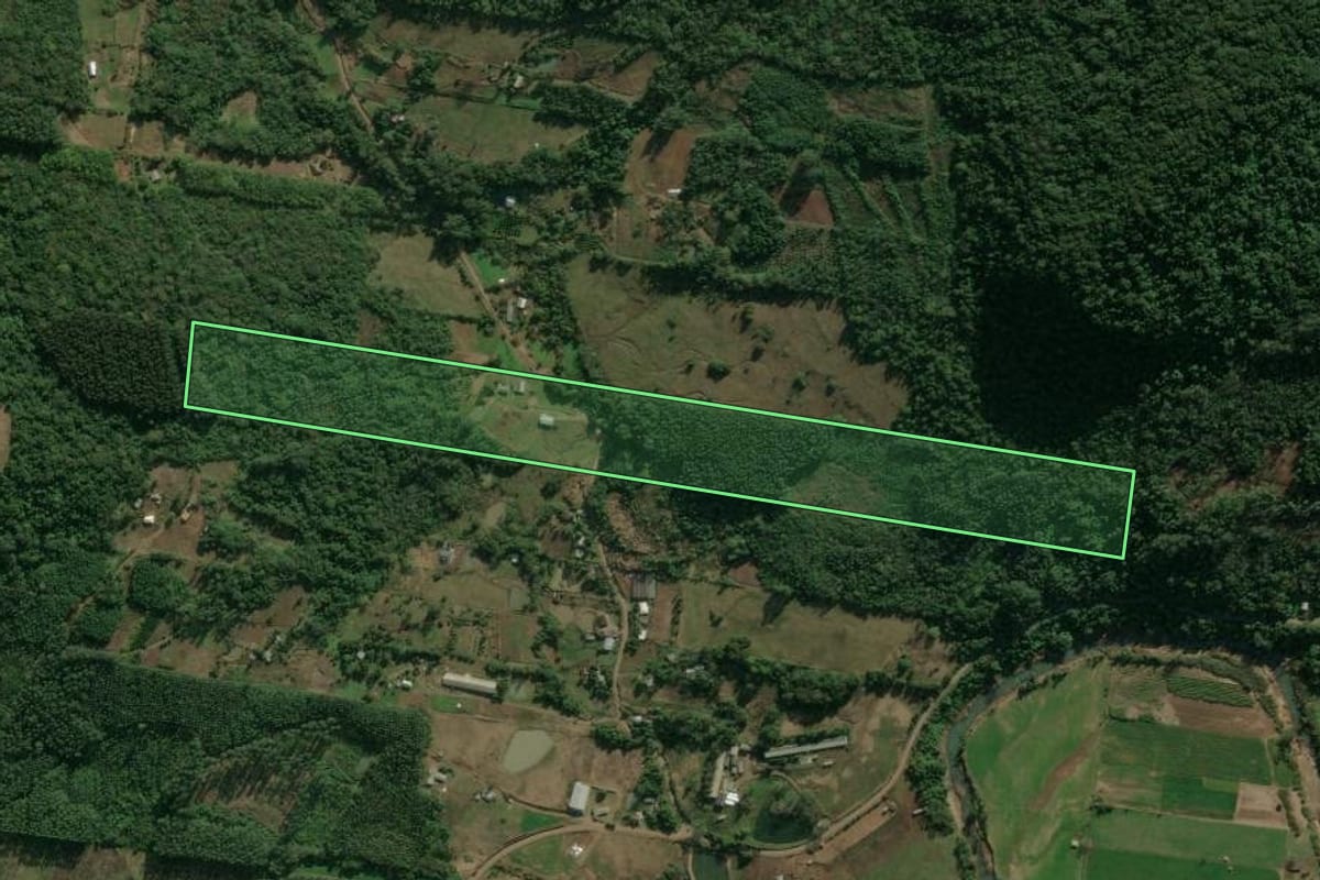 Imagem de satélite do imóvel rural em Linha Nova (RS), com o contorno declarado no CAR desenhado por cima.