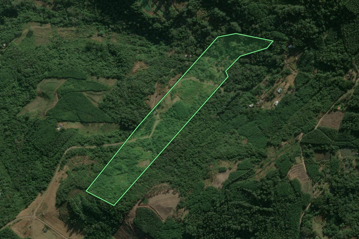Imagem de satélite do imóvel rural em Linha Nova (RS), com o contorno declarado no CAR desenhado por cima.