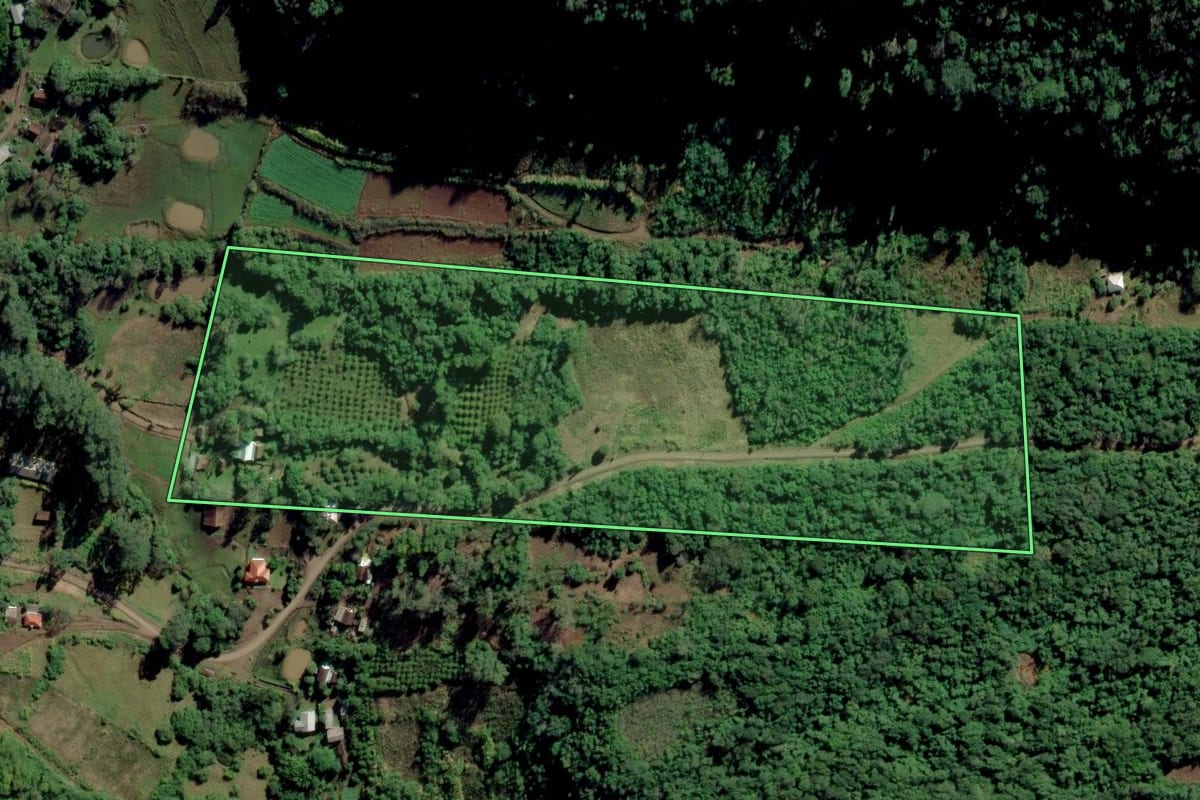 Imagem de satélite do imóvel rural em Linha Nova (RS), com o contorno declarado no CAR desenhado por cima.