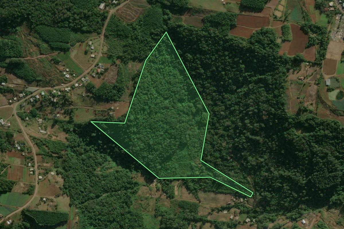 Imagem de satélite do imóvel rural em Linha Nova (RS), com o contorno declarado no CAR desenhado por cima.