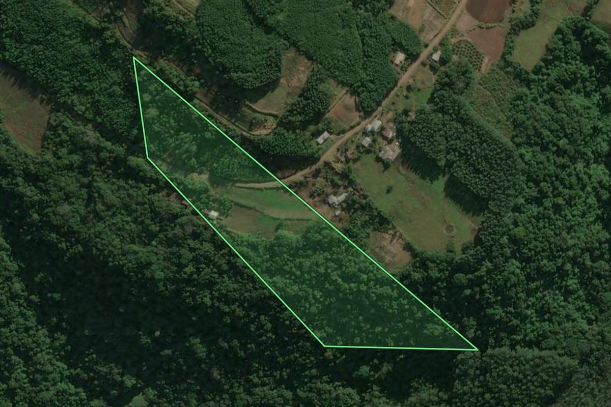 Imagem de satélite do imóvel rural em Linha Nova (RS), com o contorno declarado no CAR desenhado por cima.