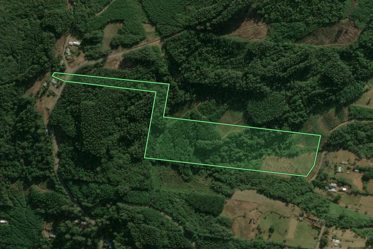 Imagem de satélite do imóvel rural em Linha Nova (RS), com o contorno declarado no CAR desenhado por cima.