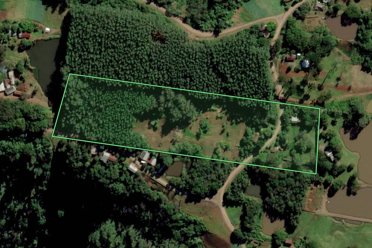 Imagem de satélite do imóvel rural em Linha Nova (RS), com o contorno declarado no CAR desenhado por cima.