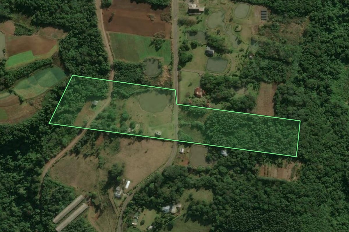 Imagem de satélite do imóvel rural em Linha Nova (RS), com o contorno declarado no CAR desenhado por cima.