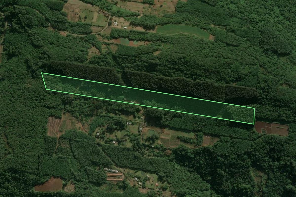 Imagem de satélite do imóvel rural em Linha Nova (RS), com o contorno declarado no CAR desenhado por cima.