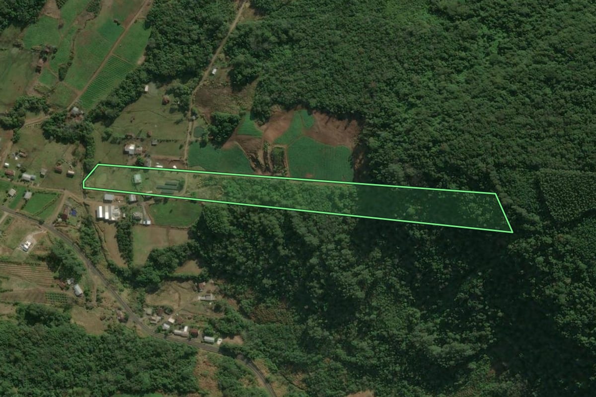 Imagem de satélite do imóvel rural em Linha Nova (RS), com o contorno declarado no CAR desenhado por cima.