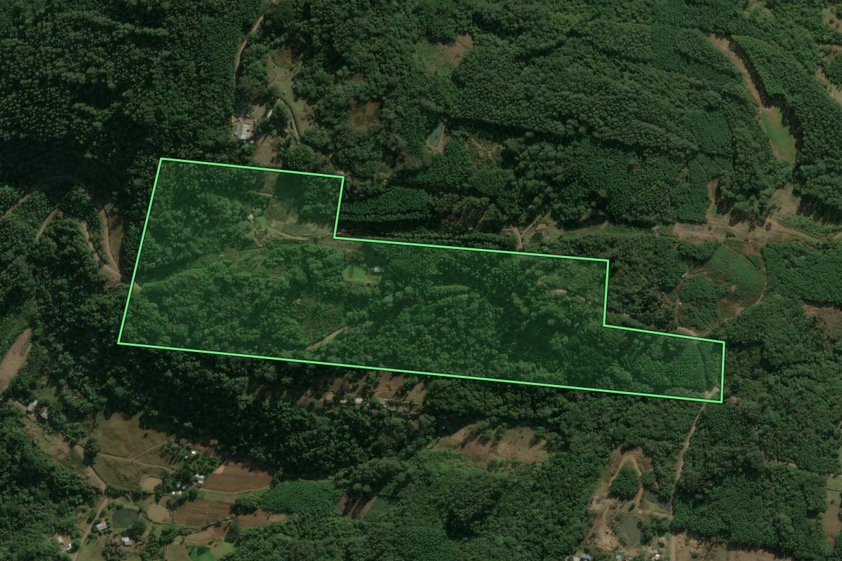 Imagem de satélite do imóvel rural em Linha Nova (RS), com o contorno declarado no CAR desenhado por cima.