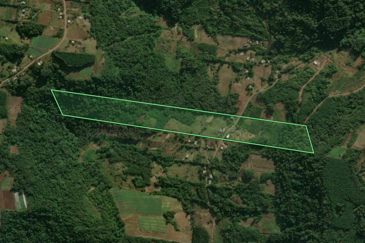 Imagem de satélite do imóvel rural em Linha Nova (RS), com o contorno declarado no CAR desenhado por cima.