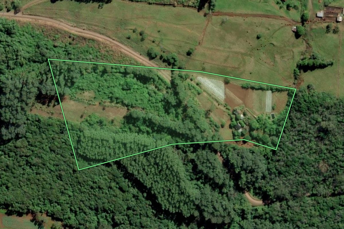 Imagem de satélite do imóvel rural em Linha Nova (RS), com o contorno declarado no CAR desenhado por cima.