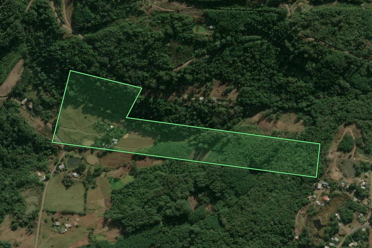 Imagem de satélite do imóvel rural em Linha Nova (RS), com o contorno declarado no CAR desenhado por cima.