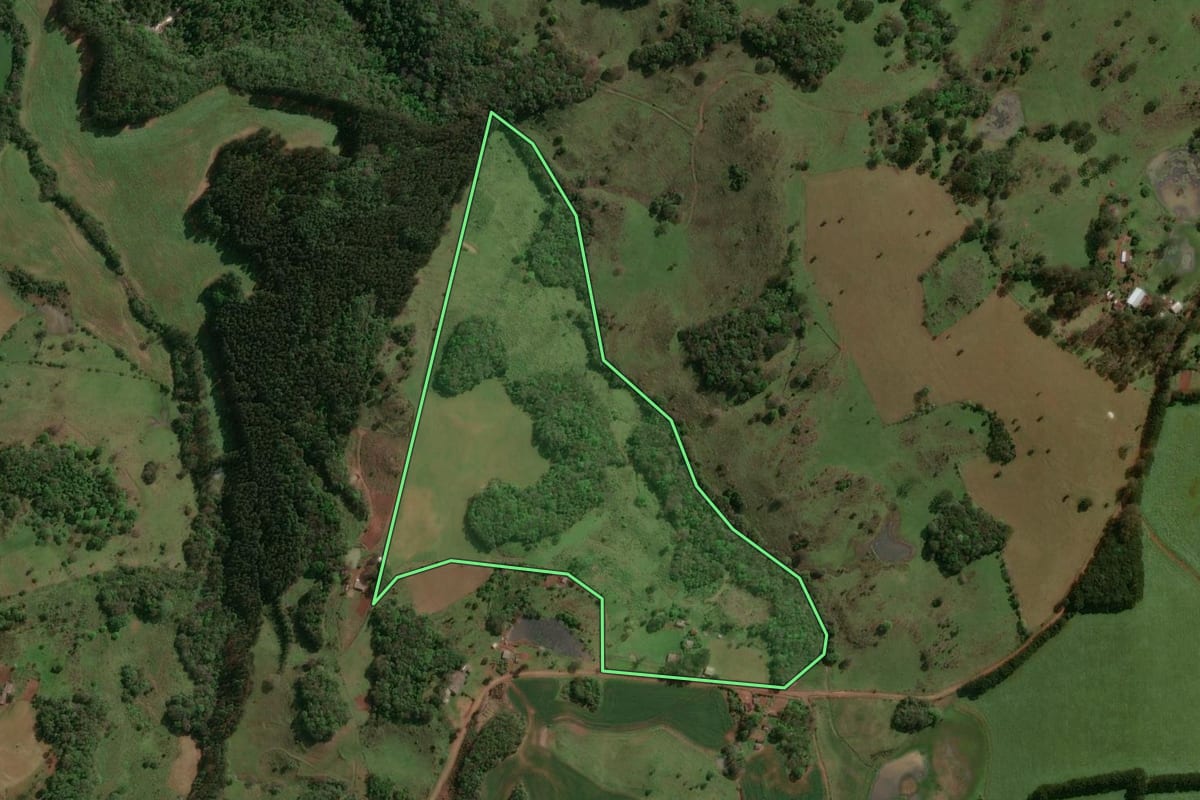 Imagem de satélite do imóvel rural em Machadinho (RS), com o contorno declarado no CAR desenhado por cima.
