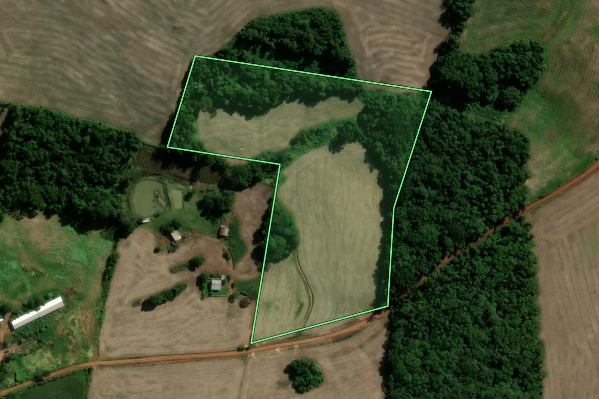 Imagem de satélite do imóvel rural em Machadinho (RS), com o contorno declarado no CAR desenhado por cima.