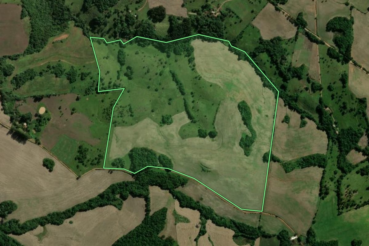 Imagem de satélite do imóvel rural em Machadinho (RS), com o contorno declarado no CAR desenhado por cima.