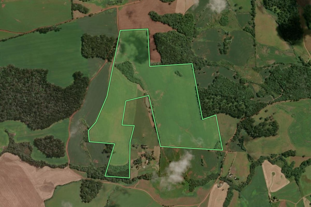Imagem de satélite do imóvel rural em Machadinho (RS), com o contorno declarado no CAR desenhado por cima.