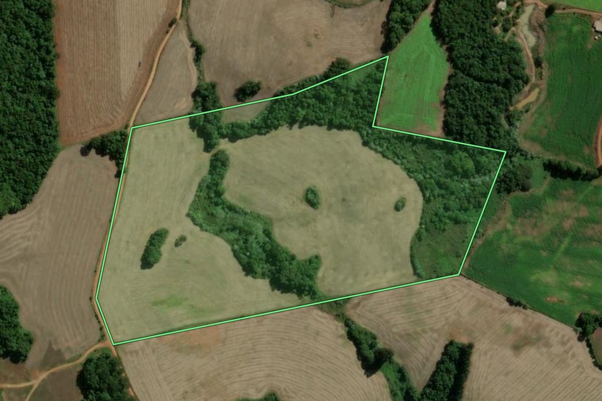 Imagem de satélite do imóvel rural em Machadinho (RS), com o contorno declarado no CAR desenhado por cima.