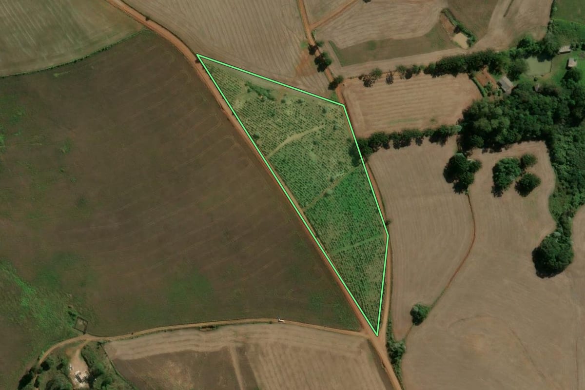 Imagem de satélite do imóvel rural em Machadinho (RS), com o contorno declarado no CAR desenhado por cima.